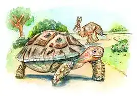 The Tortoise And The Hare - Doodlewash®