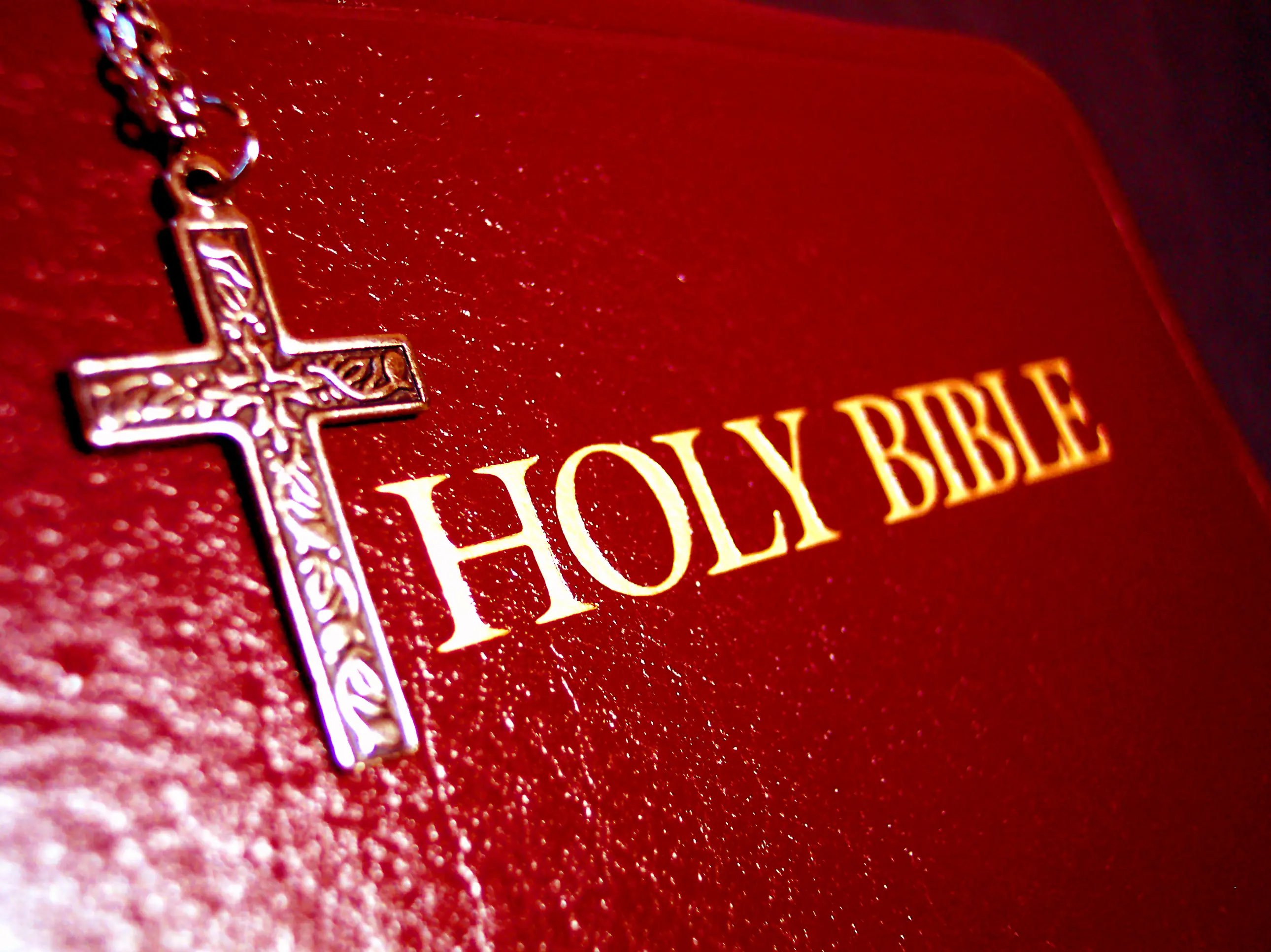 Bible Thumping: The Good Book For Writers