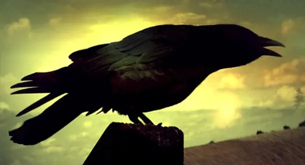 Where Lit-Fic and Horror Converge: Ten Literary Chillers