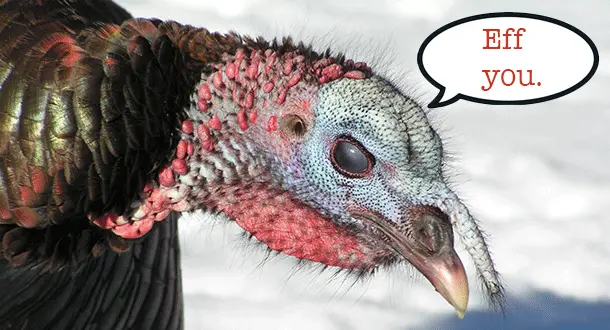 5 Books that Say "Fuck You," not "Thank You"
