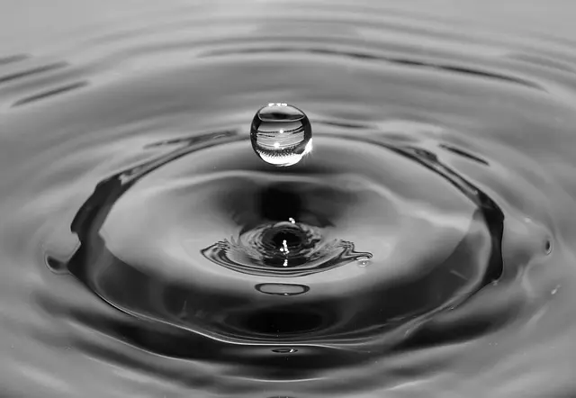 Finding the Big in the Very Small with Tanka Poetry