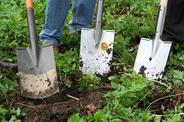 What Writers Can Learn from Gardening