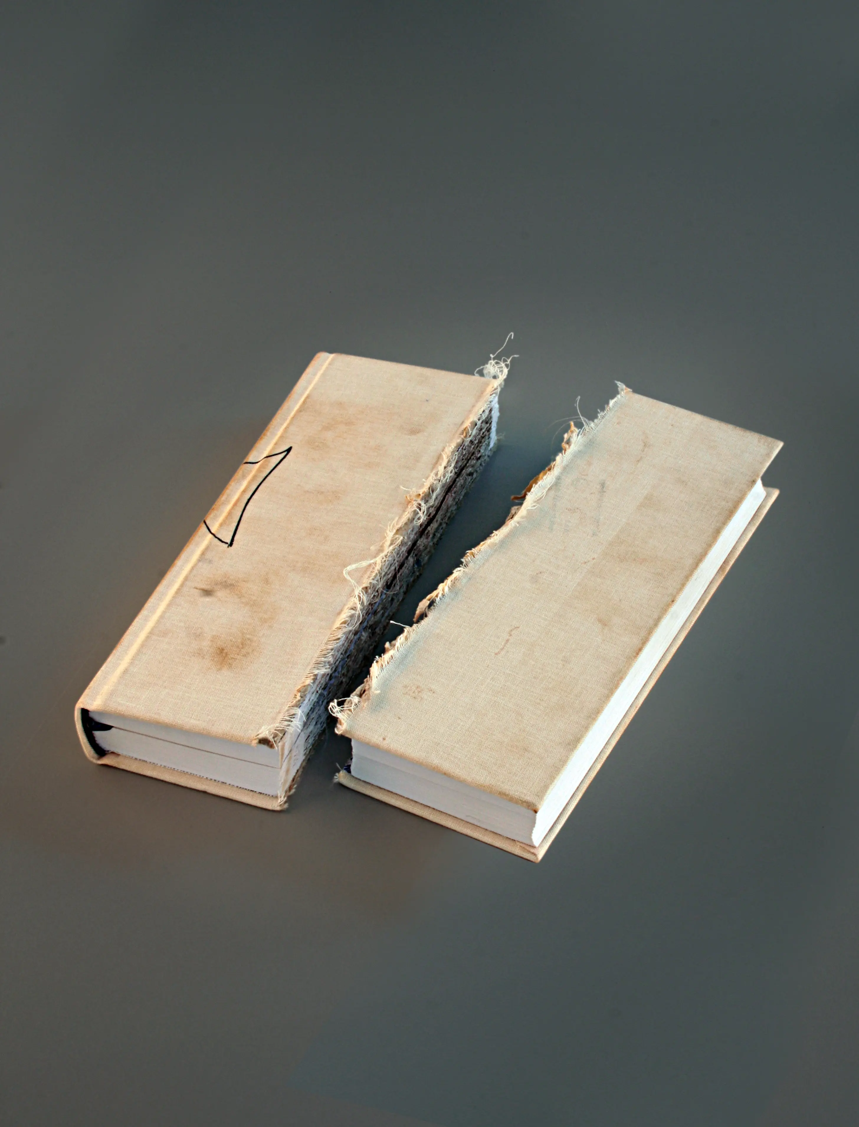 So You Want To Edit A Book Part 2: The Dreadful First Rewrite