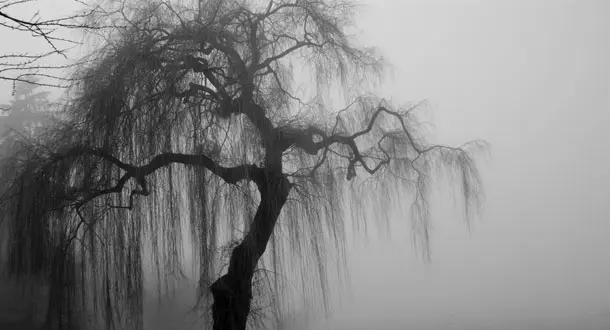Beyond the Zombie: Something Ominous is Missing from Horror Fiction