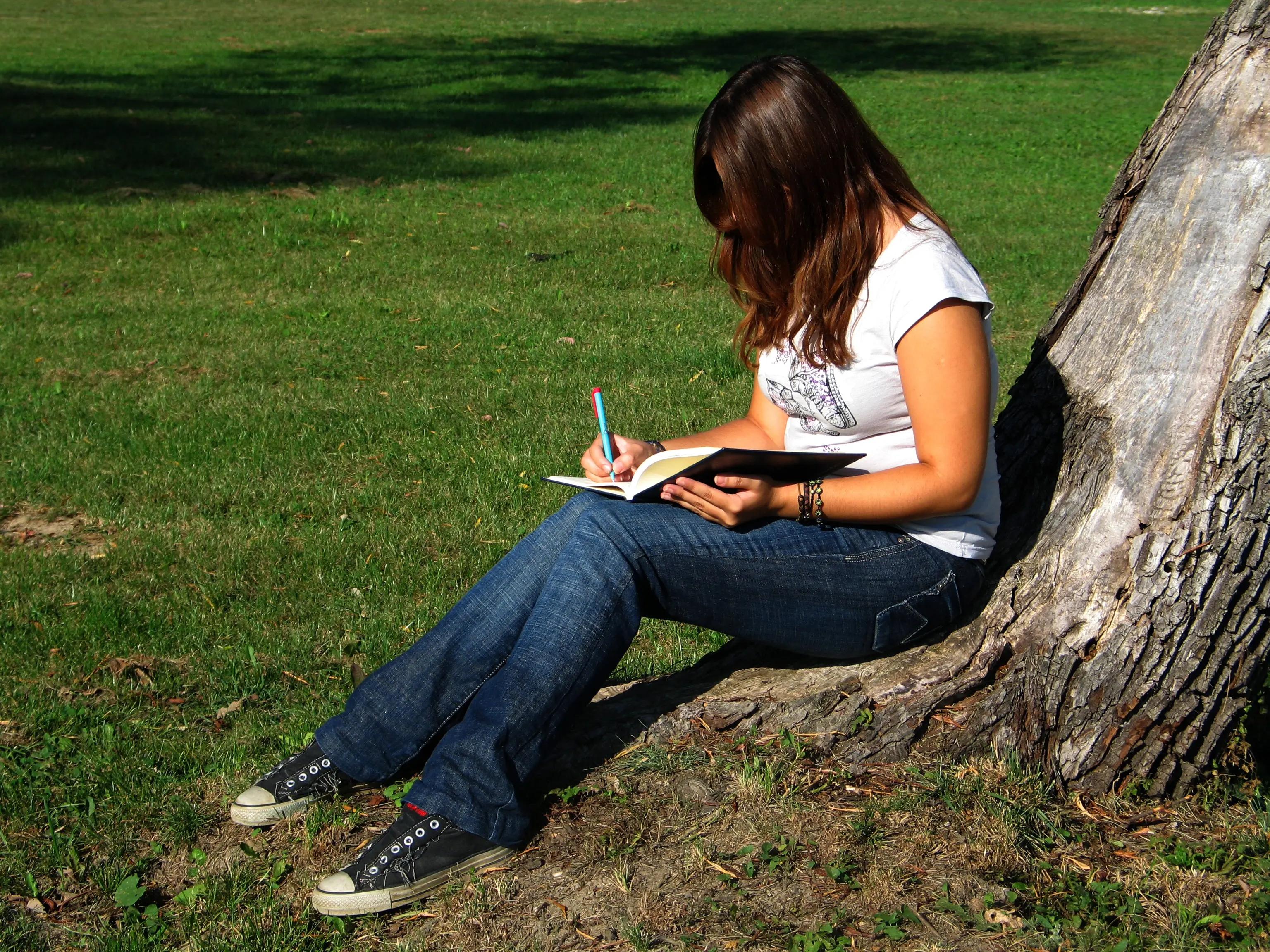 Writing Life