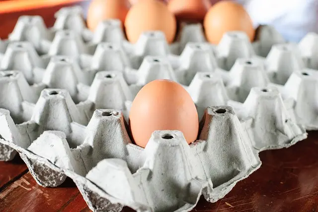 Chicken or the Egg: When a Query Should Come First
