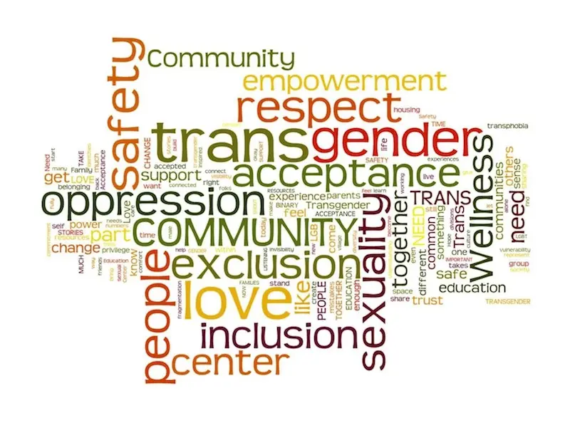 Six Novels On the Transgender Experience