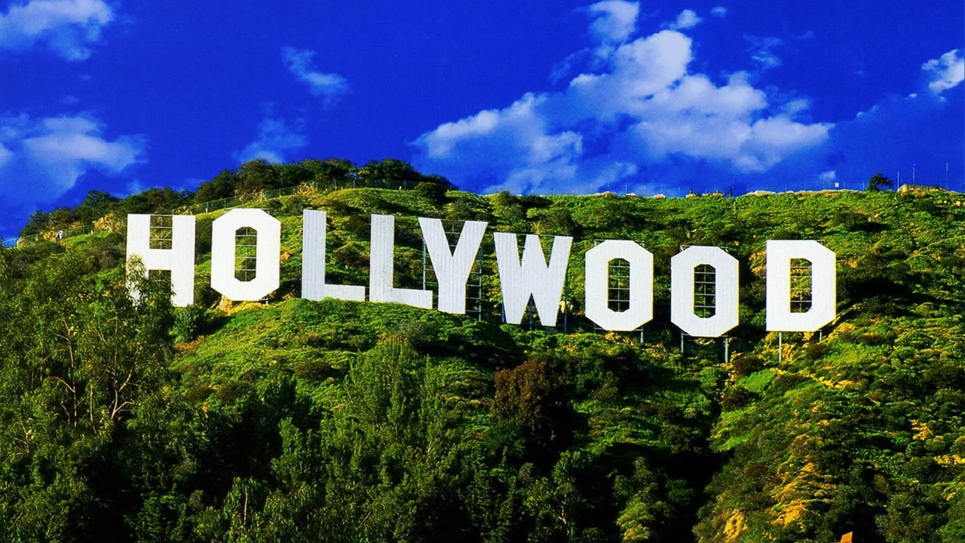 Teens in Tinseltown: Six Hollywood YA Novels