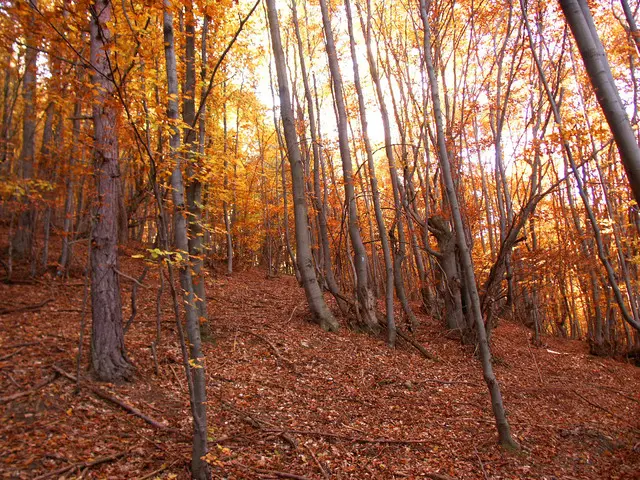 LitReactor Community Spotlight: October 2015