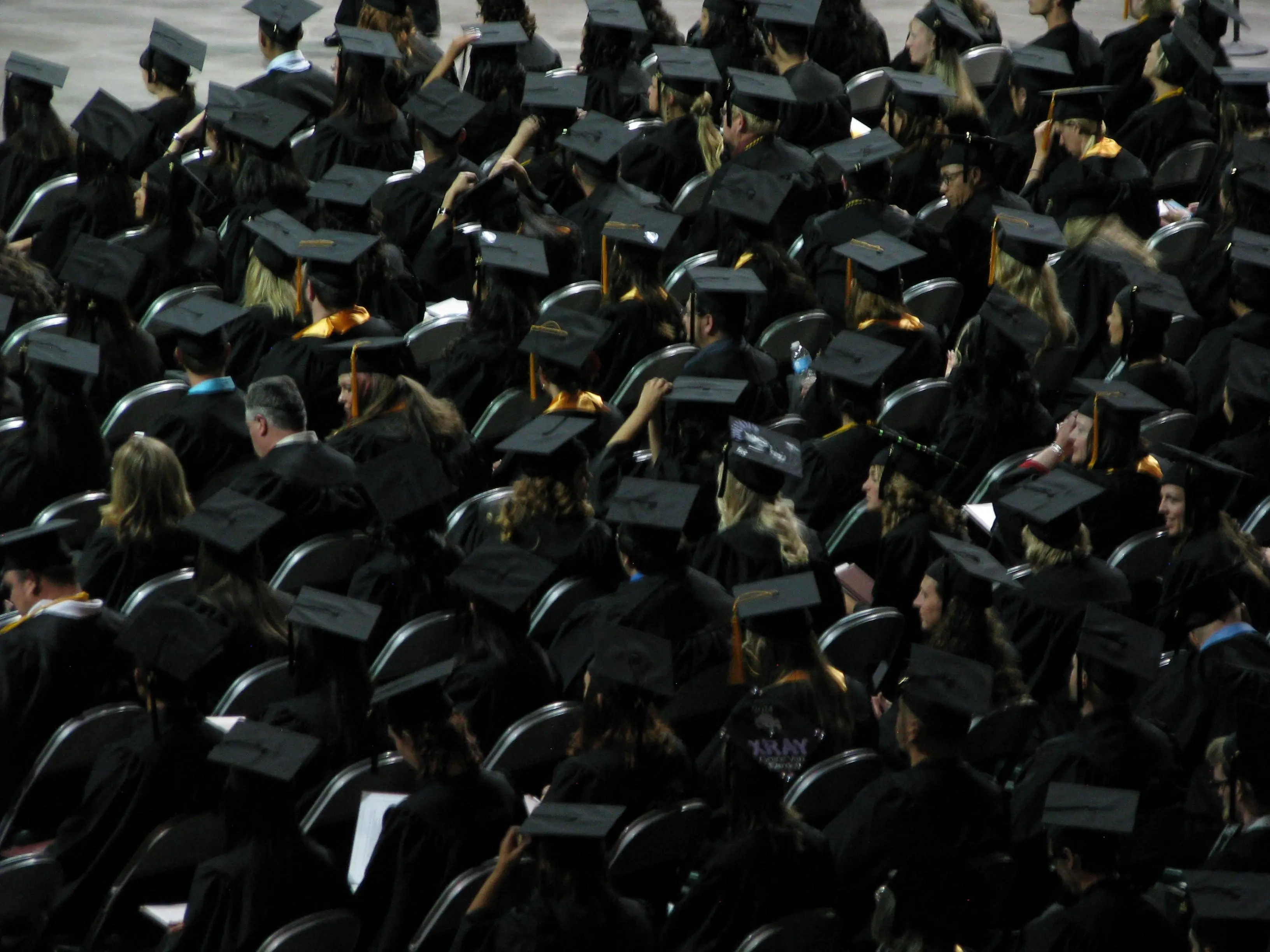 11 Reasons You Should Not Get A Degree In Library Science