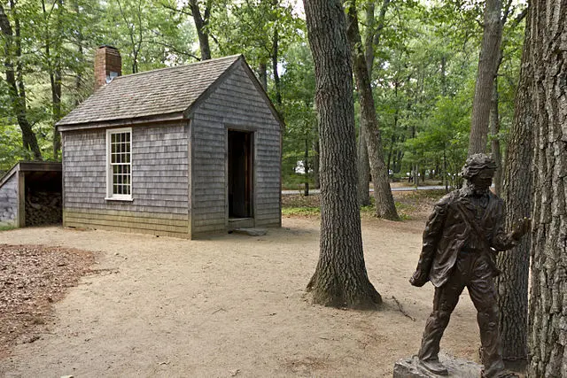 5 Writing Sheds That You'll Want To Build For Yourself