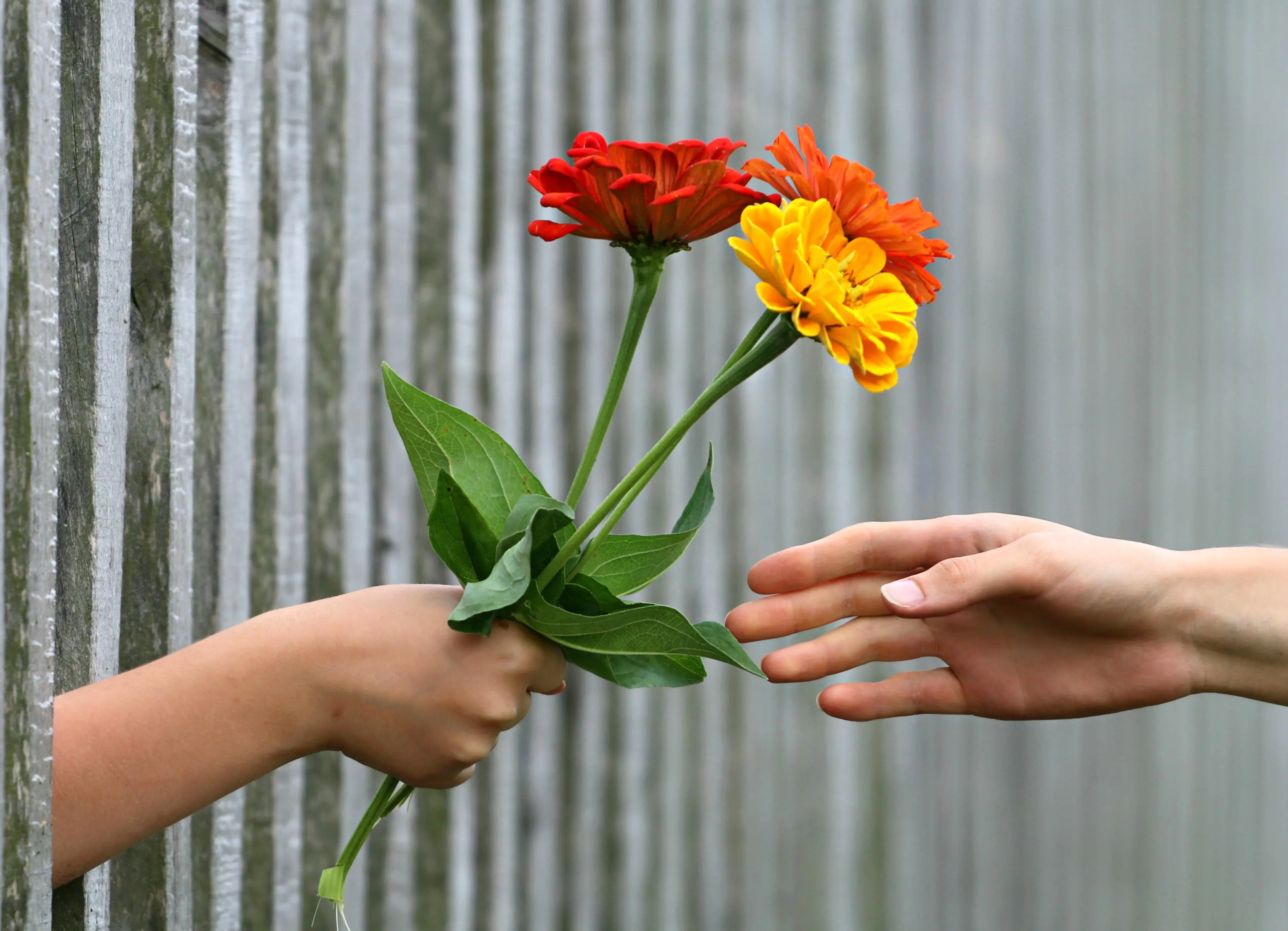 6 Ways Non-Writerly Spouses Help Improve Your Craft