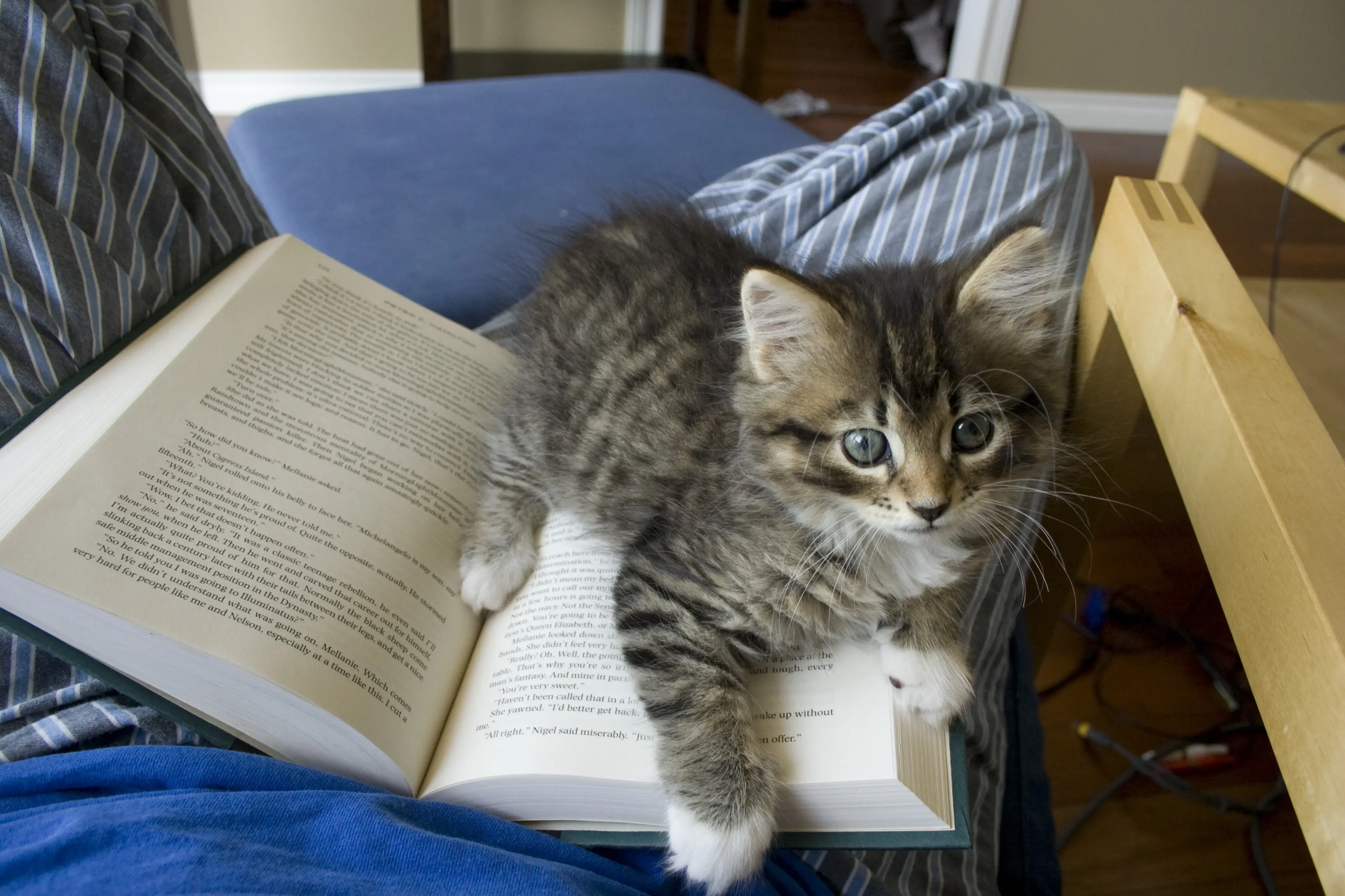 10 Books to Distract You From the Awful Shit Happening Right Now