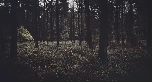 Creepypasta: Is Any of it Worth Reading?