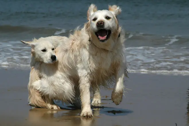 Find A Buddy: 6 Reasons You Should Co-Write Your Stuff