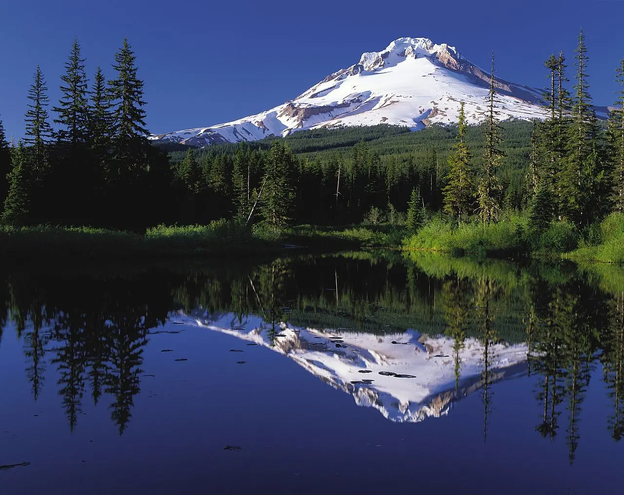 My Own Kind of Beautiful: How Geography Affects the Writing Process