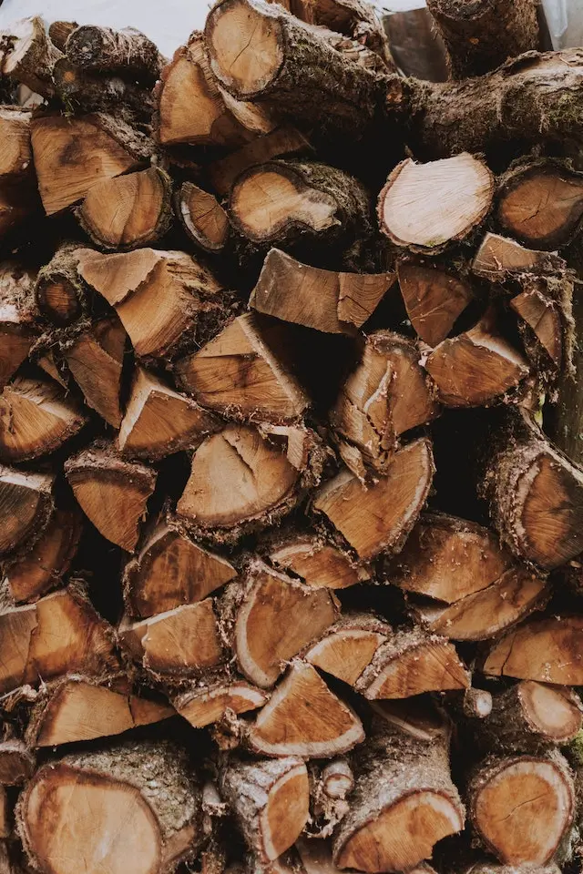 Woodshedding for Writers