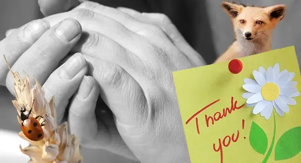10 Books to Make You Feel Thankful 