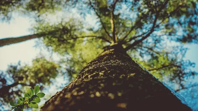 Get Your Sh*t Together: Six Memoirs for Personal Growth