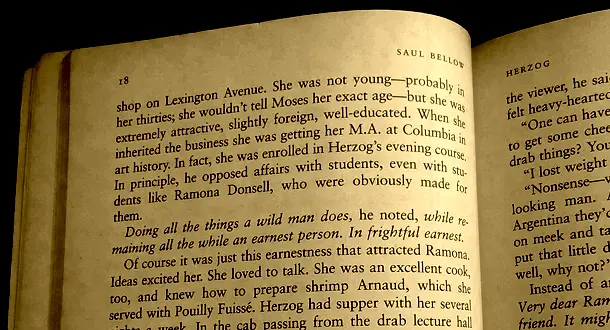 The Sinful Virtues of Marginalia and Highlighting in Books