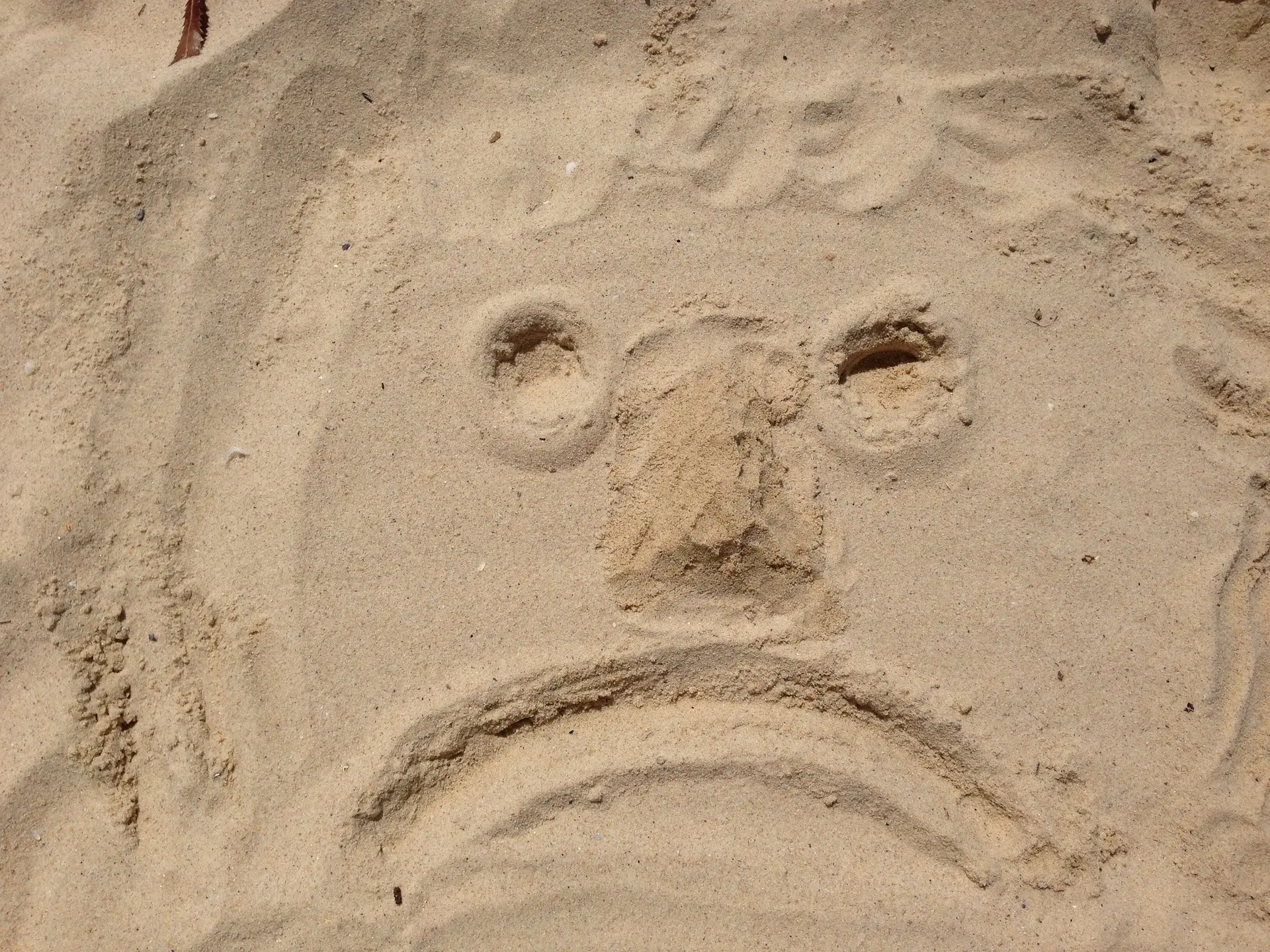 Why Nobody Gives A Crap About Books In The Summer