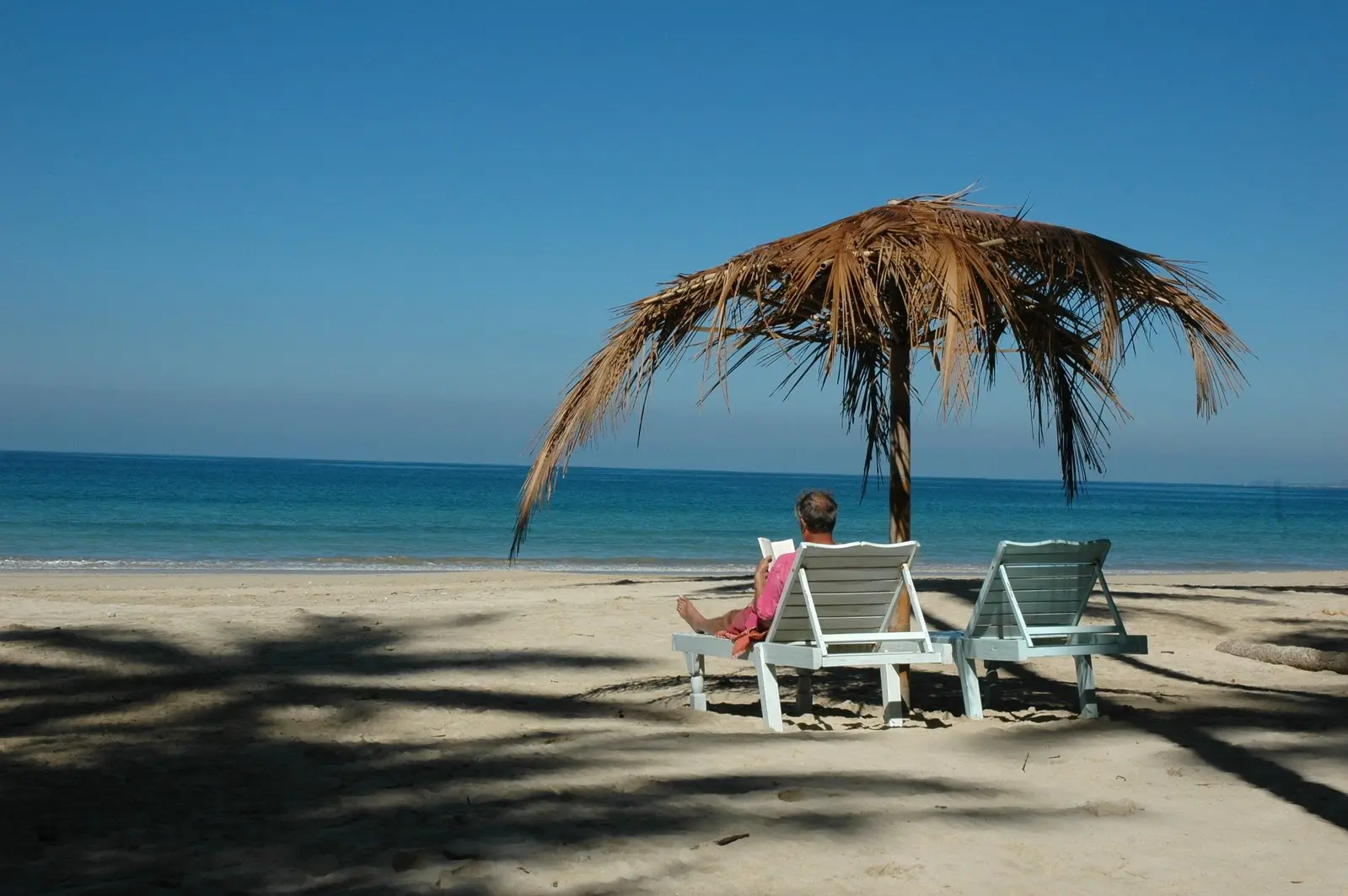 5 Weird Beach Reads for the Peverse Sunbather