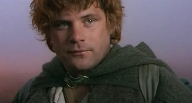 A Song Of Samwise