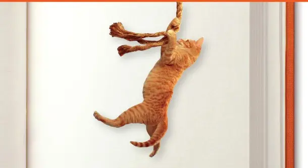 Writing a Novel With Save the Cat!