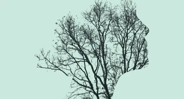 Donald Maas and The Emotional Craft of Fiction Writing