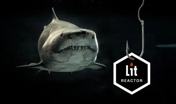 Ten Problems Only Booksharks Have 