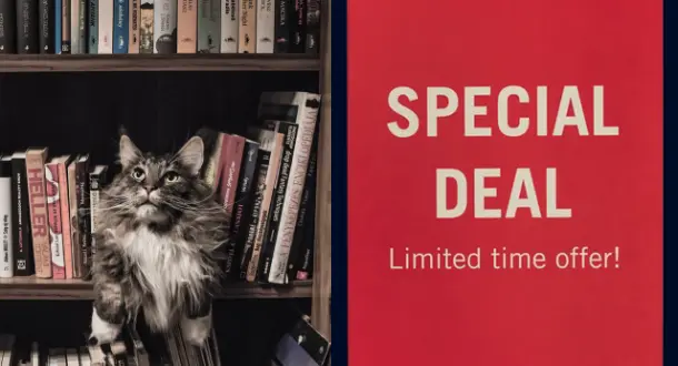 Book Promotion: Tips for Making it Work 