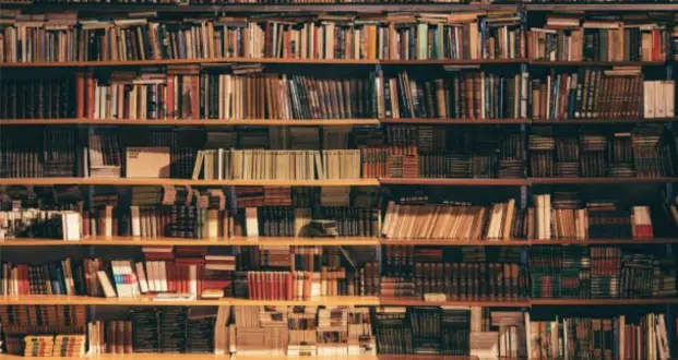 5 Ways to Celebrate Your Local Library For Library Lovers' Month