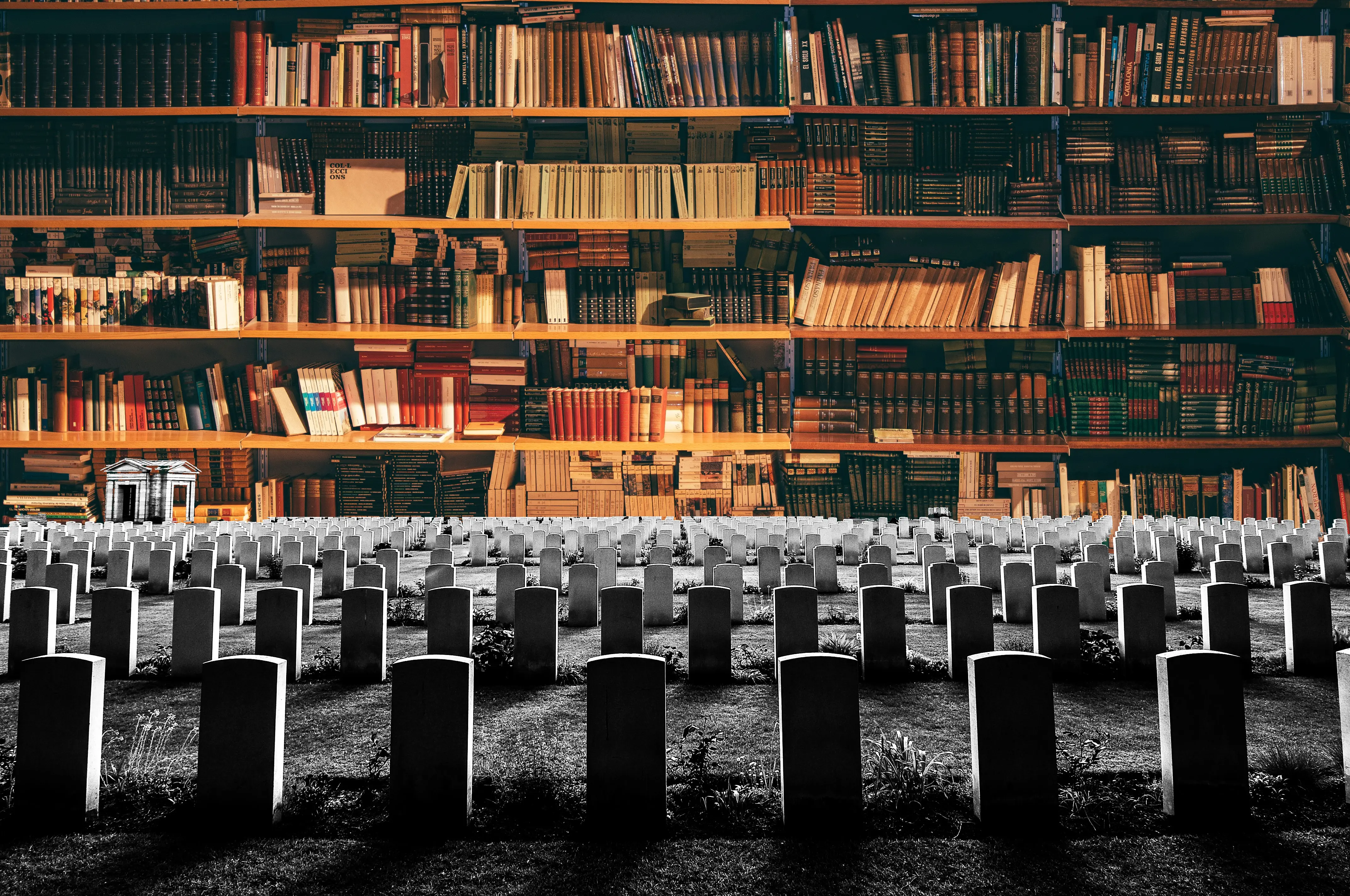 How Many Books Will You Read Before You Die?