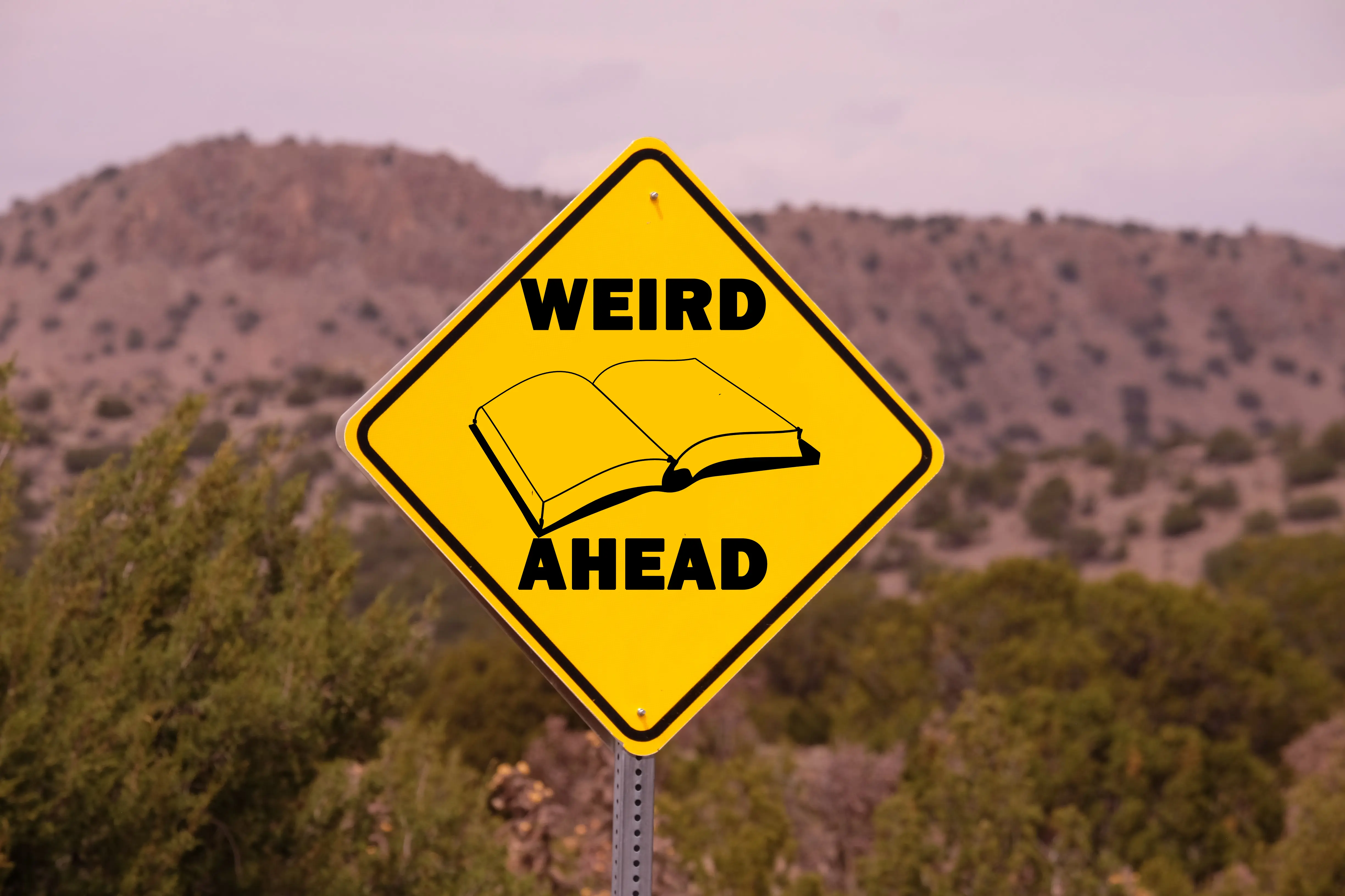 The Joys and Sorrows of Loving Obscure Books
