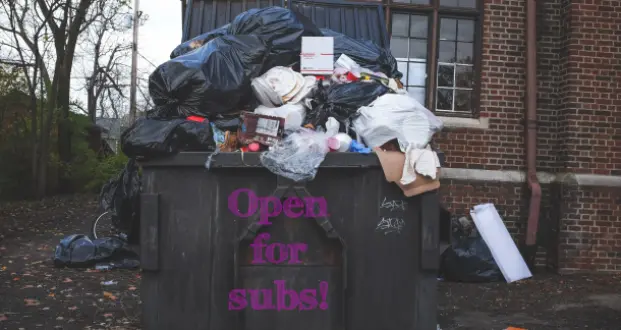 The BS Parts of the Submission Process