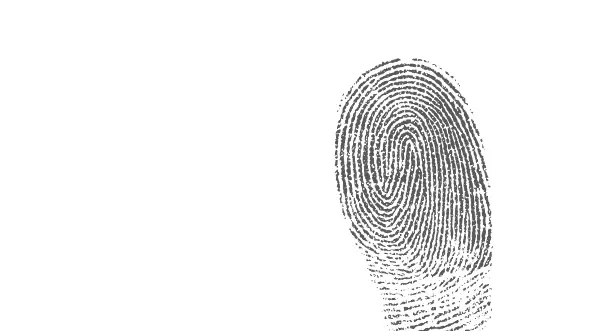 What Is Identity Marketing?