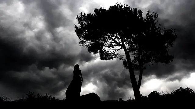 Other Words for Dark: 10 Horror, Crime, and Thriller Novels in Translation for 2021 