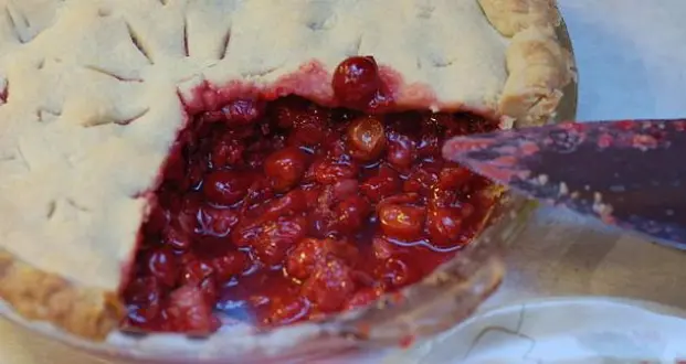 Pass the Stuffing and the True Crime: 8 Titles to Get You Through the Holidays