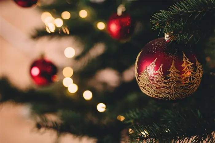 8 Holiday Books That Are Not About Christmas