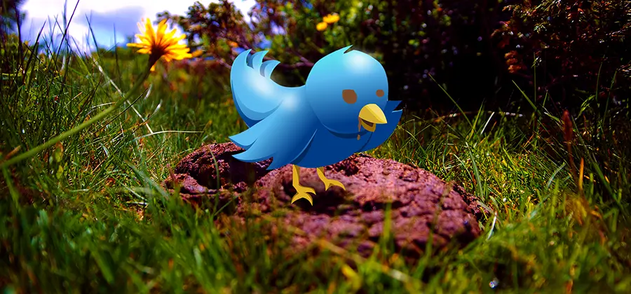 Writers Lifts: Sharing the Love or Twitter Pyramid Scheme?