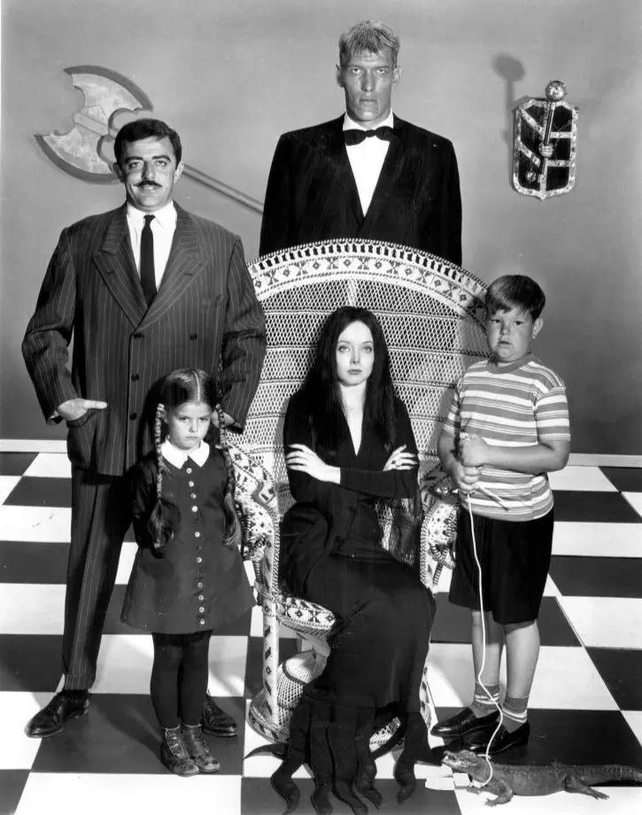 Wednesday Addams and the Nihilist as Narrator