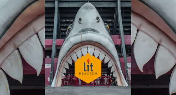 Shark Reads! 5 Books to Satisfy your Beach-Reads-Shark-Week-Summer-Loving Self 