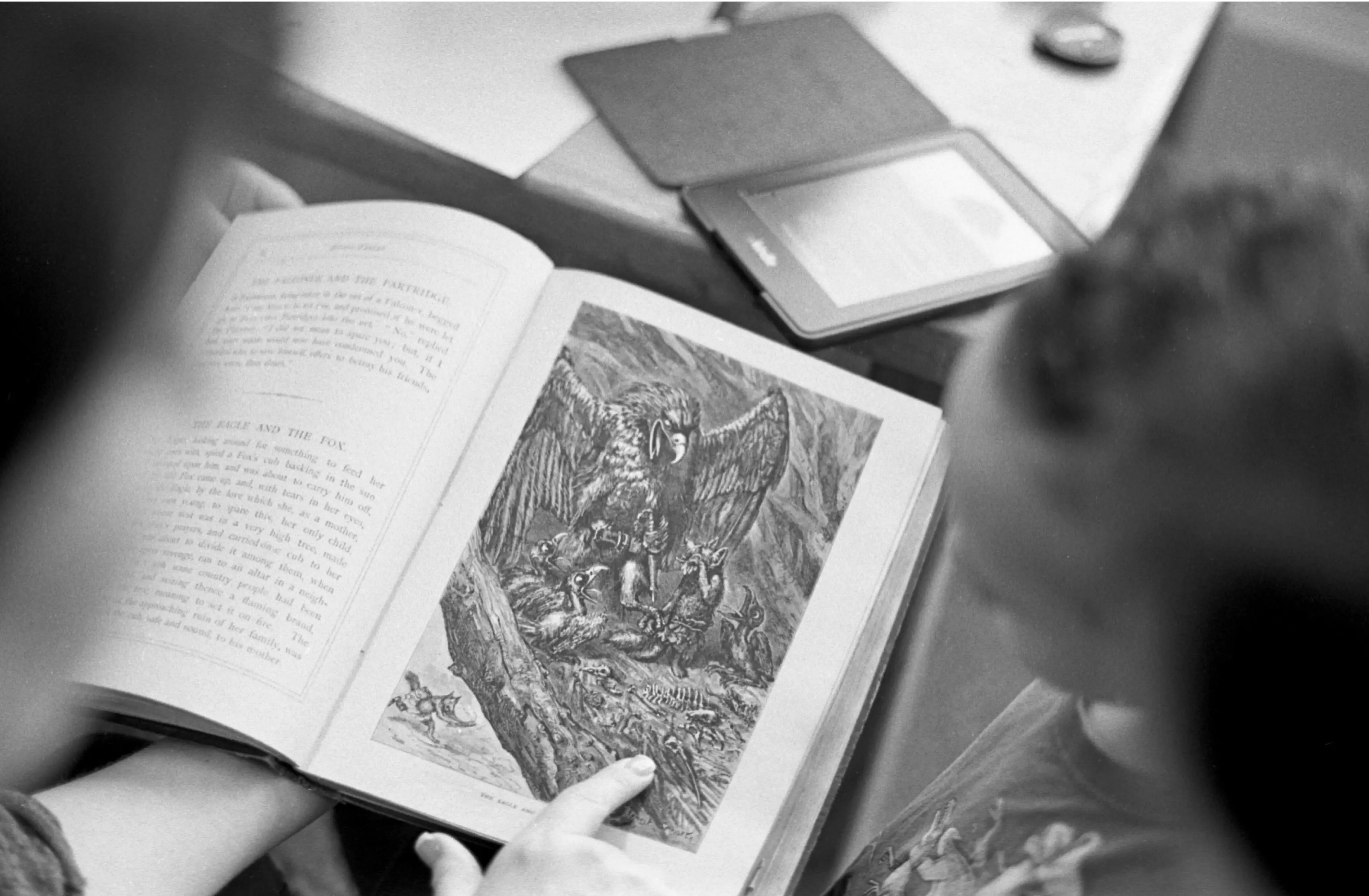 How To Write a Fable in 6 Simple Steps