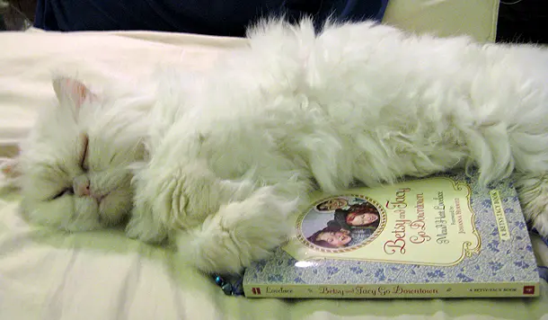 Cozy Up With Cool Weather Reads