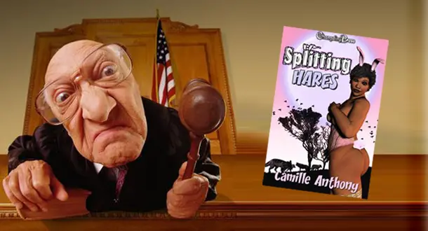 Judge A Book By Its Cover