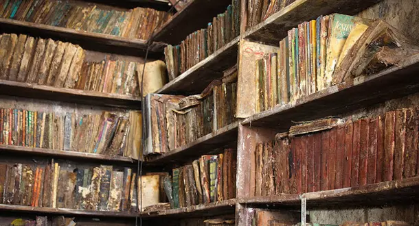 Library Love: Your Library's Disgusting Friends