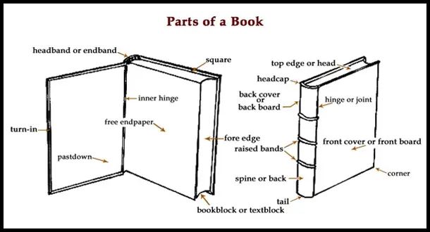Library Love: Anatomy Of The Book