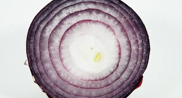 Peeling Back the Onion: 5 Books That Subvert Narrative Expectation