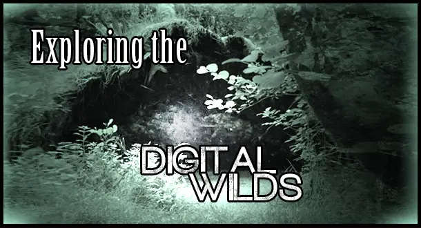 Exploring the Digital Wilds: Expanding Our Approach to Novels