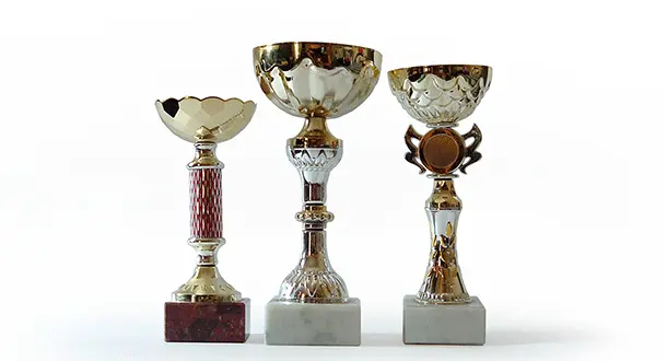 The 2013 Author Awards